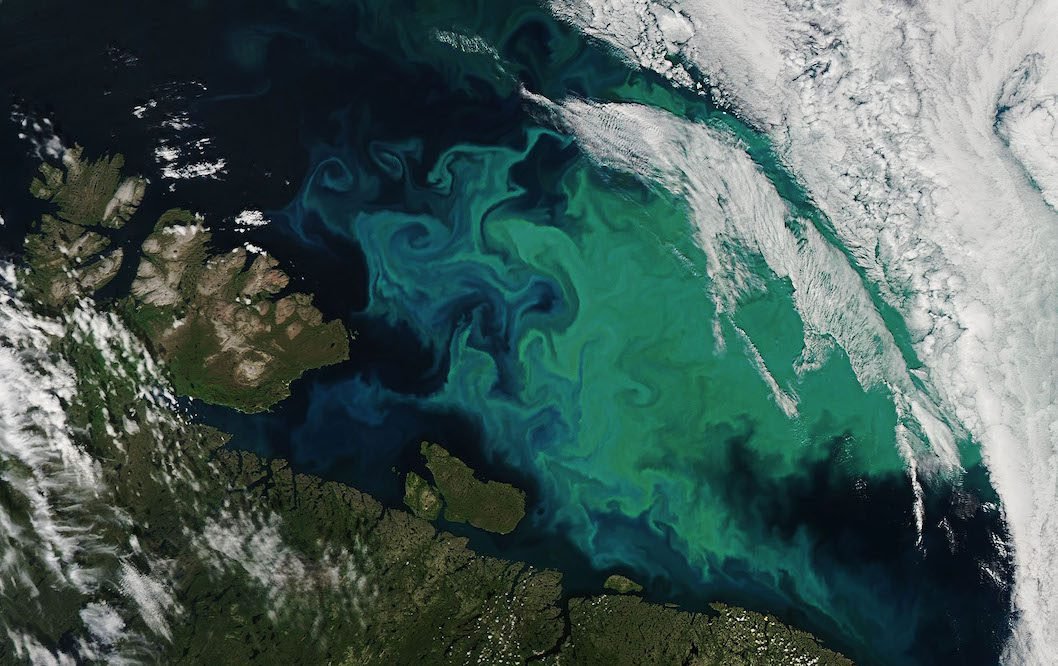 Exploring Phytoplankton Blooms in the Barents Sea NASAs Satellite Captures Rare Glimpse