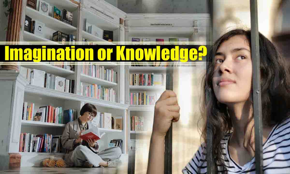 What is greater crucial Imagination or Knowledge Exploring the Dynamic Interplay