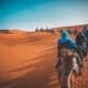 Exploring the Majestic Red Sea Hills: A Geological Marvel in the Sahara Desert