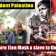 Who is free The laborers of Palestine or the billionaire Elon Musk