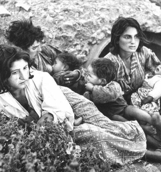 Unveiling the Forgotten Genocide: The Romani Tragedy During Nazi Germany