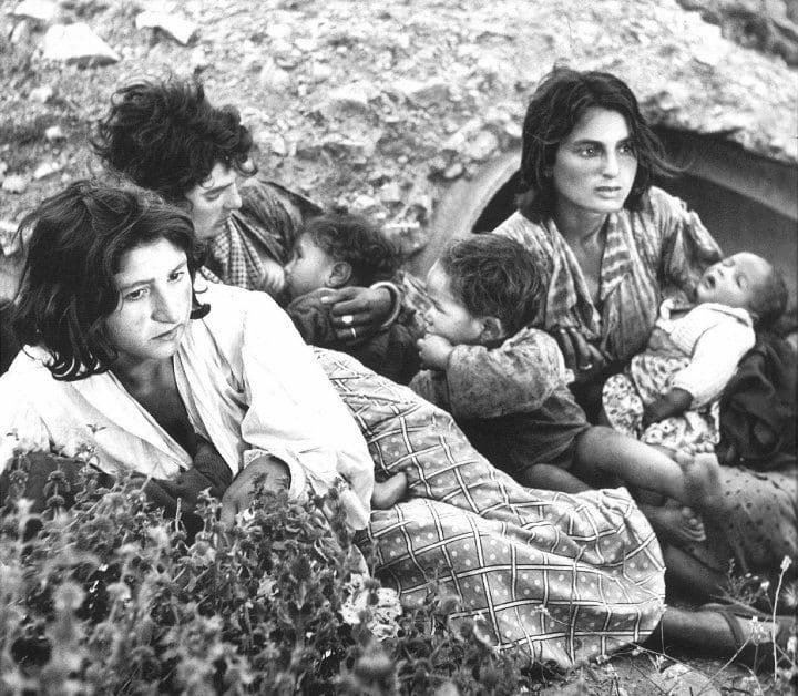 Unveiling the Forgotten Genocide: The Romani Tragedy During Nazi Germany